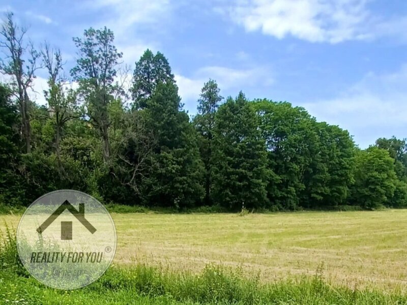 Prodej lukrativního pozemku 5030 m2, Turnov centrum